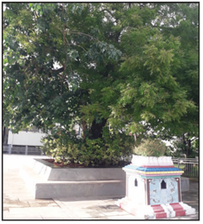 Kanchi Kamakoti Peetam - Sri Adi Sankaracharya’s Samadhi